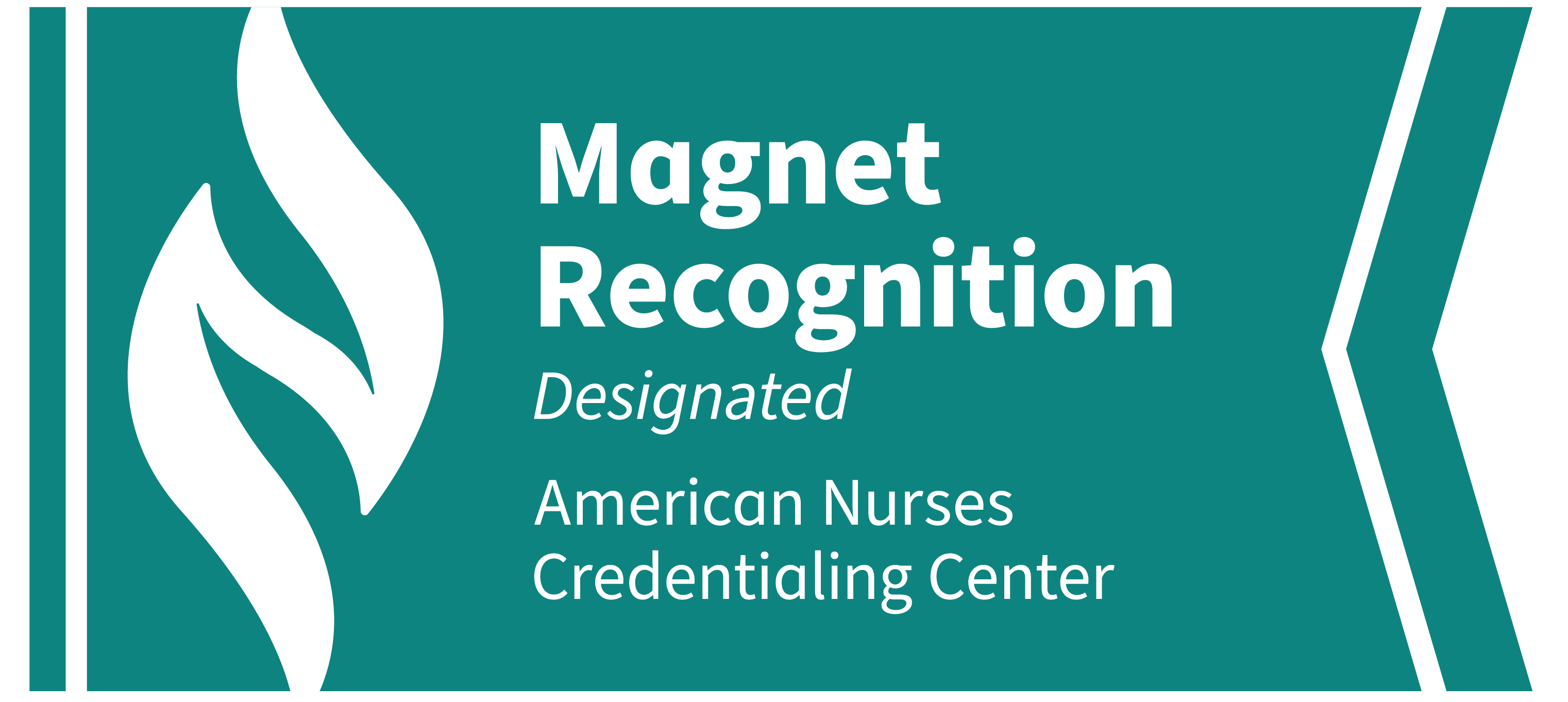 A Proud Partner of DiversityNursing.com 2026 (logo)