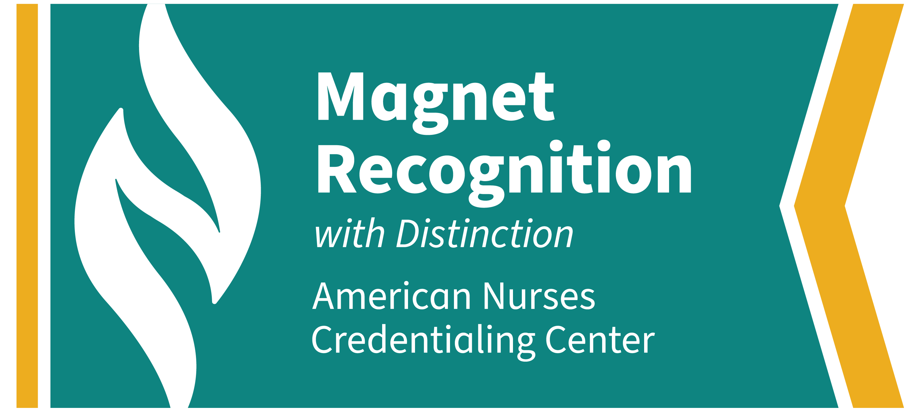 A Proud Partner of DiversityNursing.com 2026 (logo)